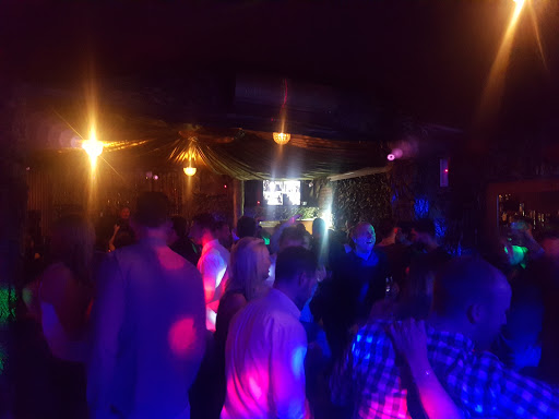 Camel Bar - Thumbnail