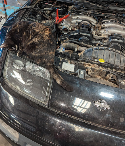 Mario's Automotive - United States