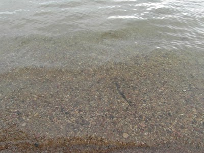 Photos of Miadziel