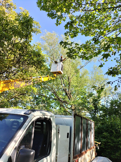 Besson élagueur en Haute-Garonne