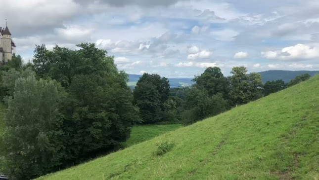 Schloss Lenzburg - Lenzburg