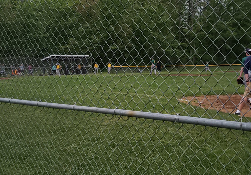 Fiedler Field - Visual
