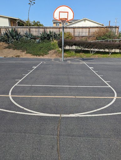 Metz basketball court