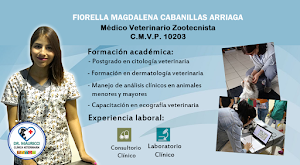 Clínica Veterinaria DR. MAURICCI 3