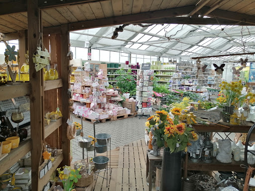 FLORA-LAND ARNOLD - Thumbnail
