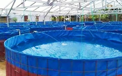 Photos of Hakim Farm