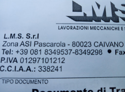 L.M.S. Srl - Thumbnail