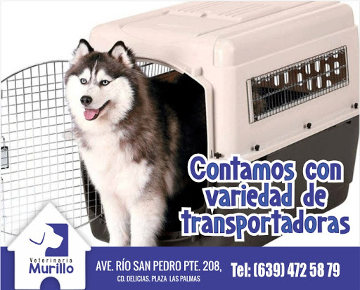 Veterinaria Murillo