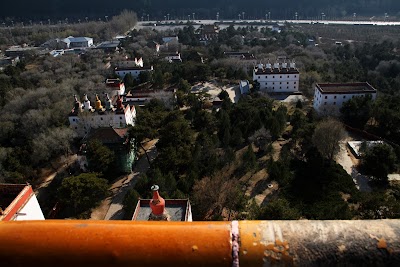 Photos of Putuo Zongcheng Temple