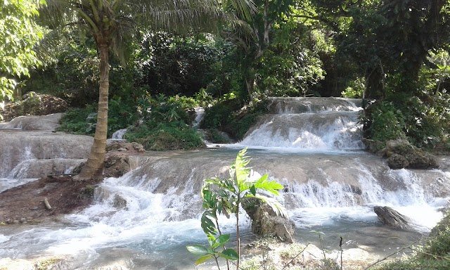 Evergreen Cascades Waterfall