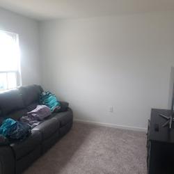 DWT Paints - Visual