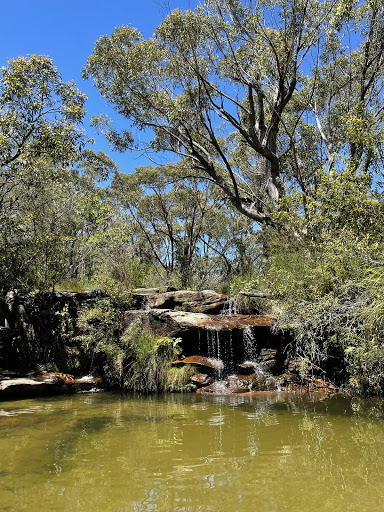 Pittwater Eco Adventures - Thumbnail