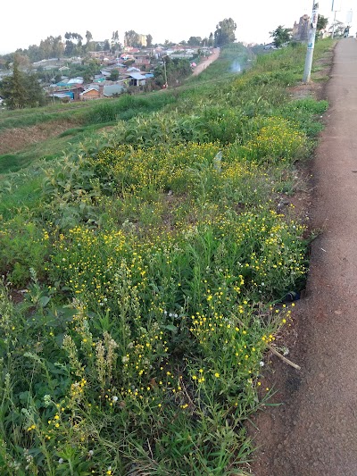 Photos of Kikuyu Park