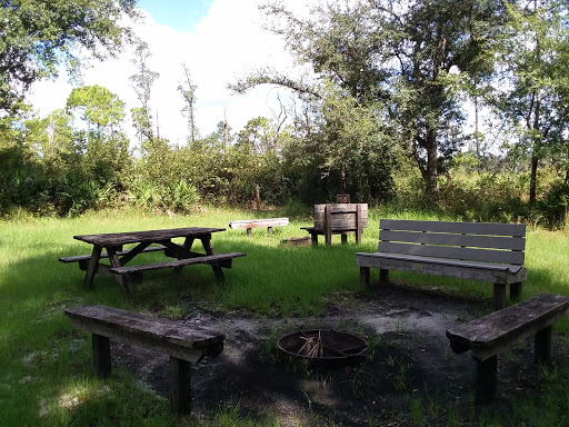 Camp Cozy - Visual