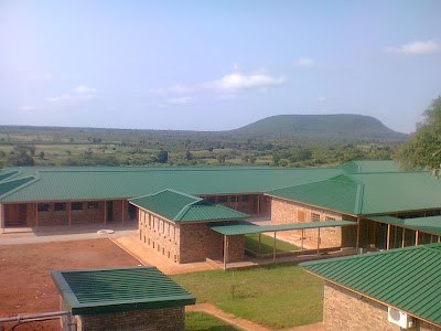 school