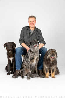 Hundeschule ALLERHUNDE Inh. Oliver Fülber Moorweg 34, 29313 Hambühren, Deutschland