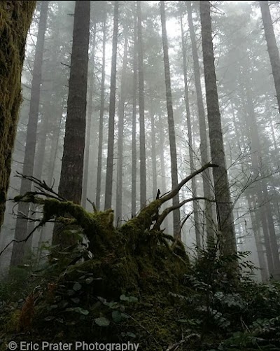 Alsea falls campground