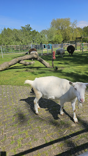 Stichting Philadelphia Zorg | Kinderboerderij Wassenaar - Thumbnail