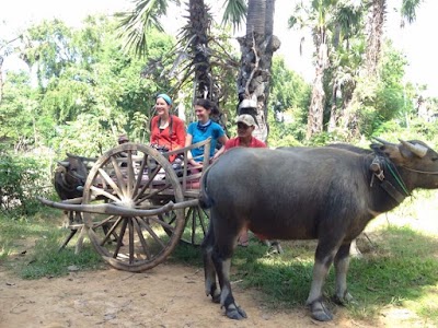 Photos of Cambodia Temple Tours