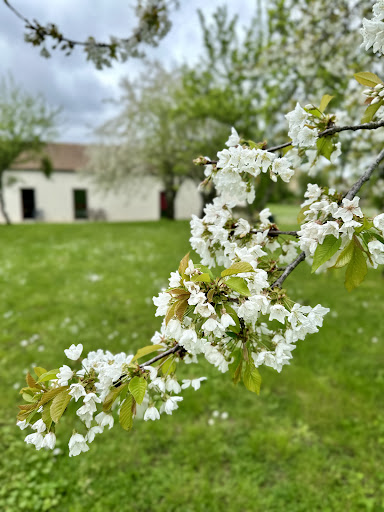 Photo de EHPAD l'Age d'Or - ADMR Habiter Autrement du Marais à Ardin (79160)