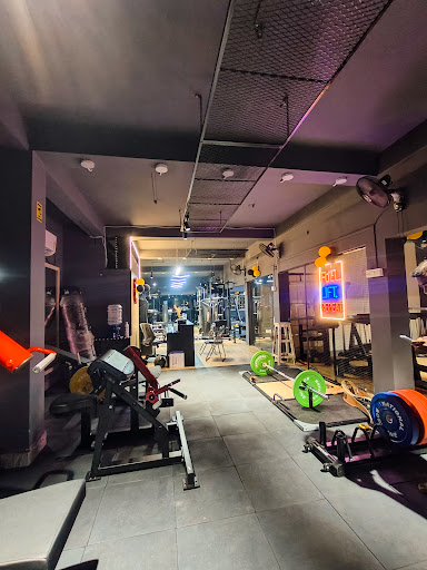 Gallery image 45