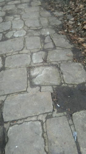 Коментари и отзиви за Ледена пързалка „Славия“