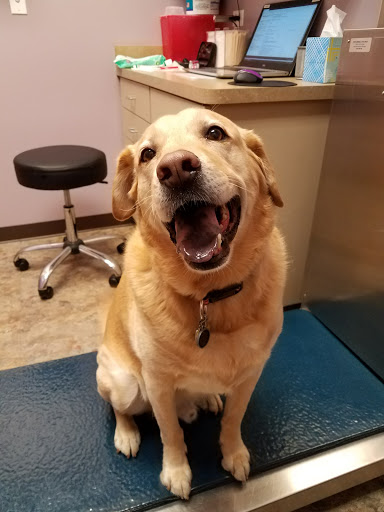 Duke Animal Hospital - Thumbnail
