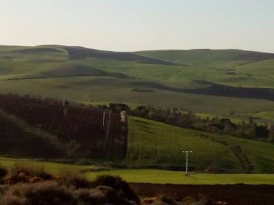 Photos of Exploitation agricole Aghlal