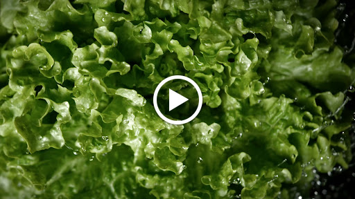 Photo 2 - Eat Salad
