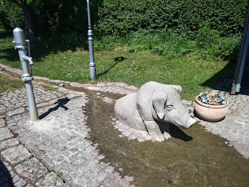 Studna - Visual