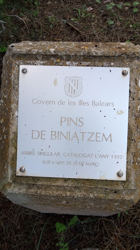 Pins de Biniatzem - Thumbnail