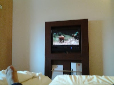 Photos of Hotel el-Hawa Talk