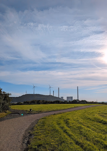 Halde Scholven (Auenland)