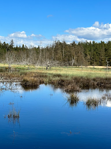 Walderlebnispfad Waldnaabaue - Thumbnail