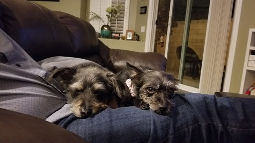 Archibald Pet Hospital - Thumbnail