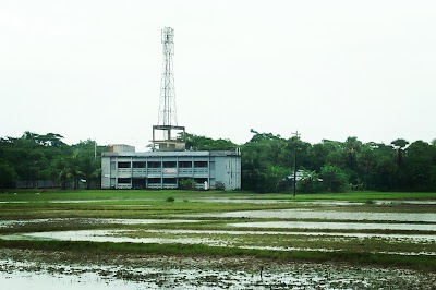Photos of Muktijhoddha Memorial Degree College