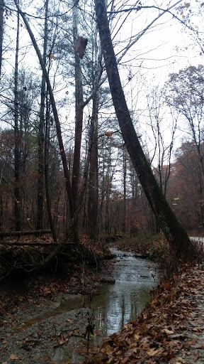 Yellowwood State Forest - Thumbnail