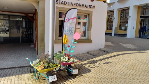 Stadtinformation Eppingen - Thumbnail