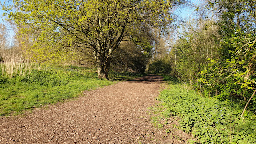 Nordpark / Wienburg Park - Thumbnail