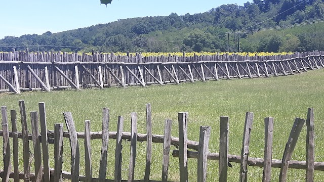 Le Village Gaulois - L'Archéosite