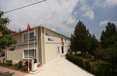 Bilgiyurt Koleji