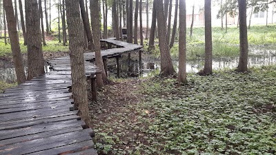 Photos of Istok Dors