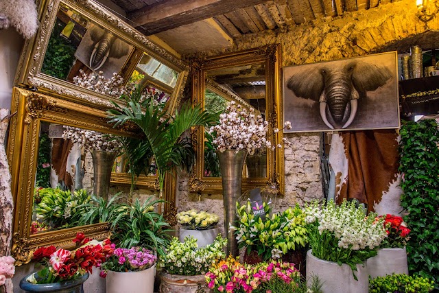 Sander Smids Fleuriste