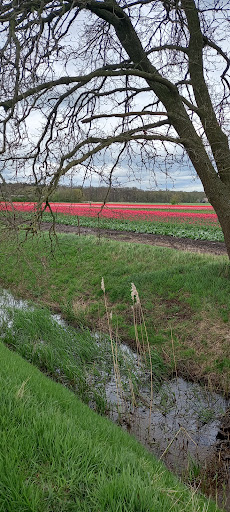 Assen-Kloosterveen - Thumbnail