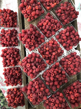 Montgomery Place Orchards by null