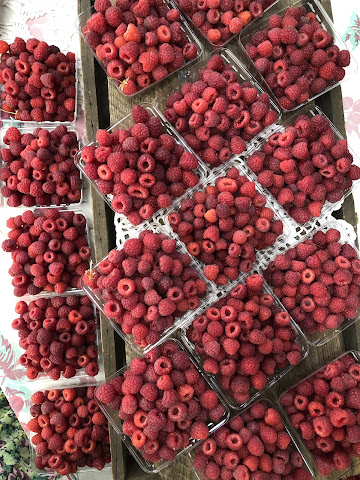 Montgomery Place Orchards by null