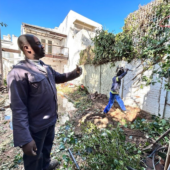 Salt River tree branch removal project by professional tree surgeons.