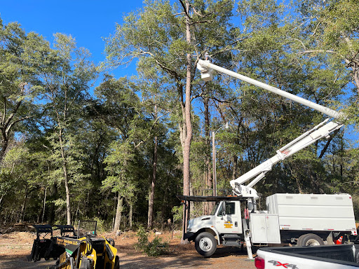 Premier Services Tree & Stump removal - Thumbnail
