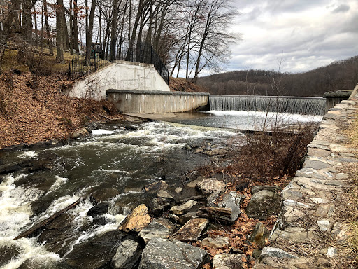 Pocantico Park - Thumbnail