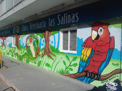 Clínica Veterinària Les Salines - Thumbnail